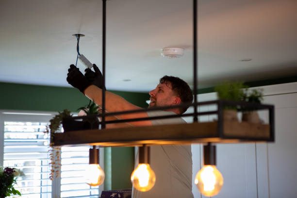Best Local Electrician Companies  in Svis, IL