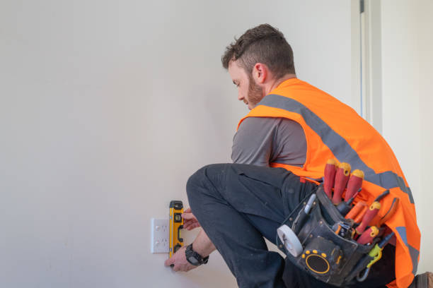 Best Electric Panel Repair  in Svis, IL